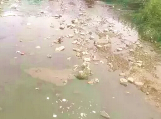 羅莊區(qū)羅莊街道羅七路與南涑河交會處仍遍布生活污水